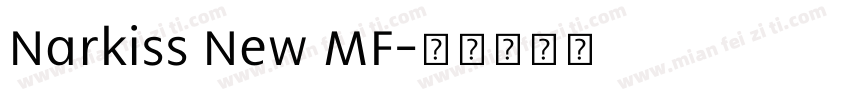 Narkiss New MF字体转换